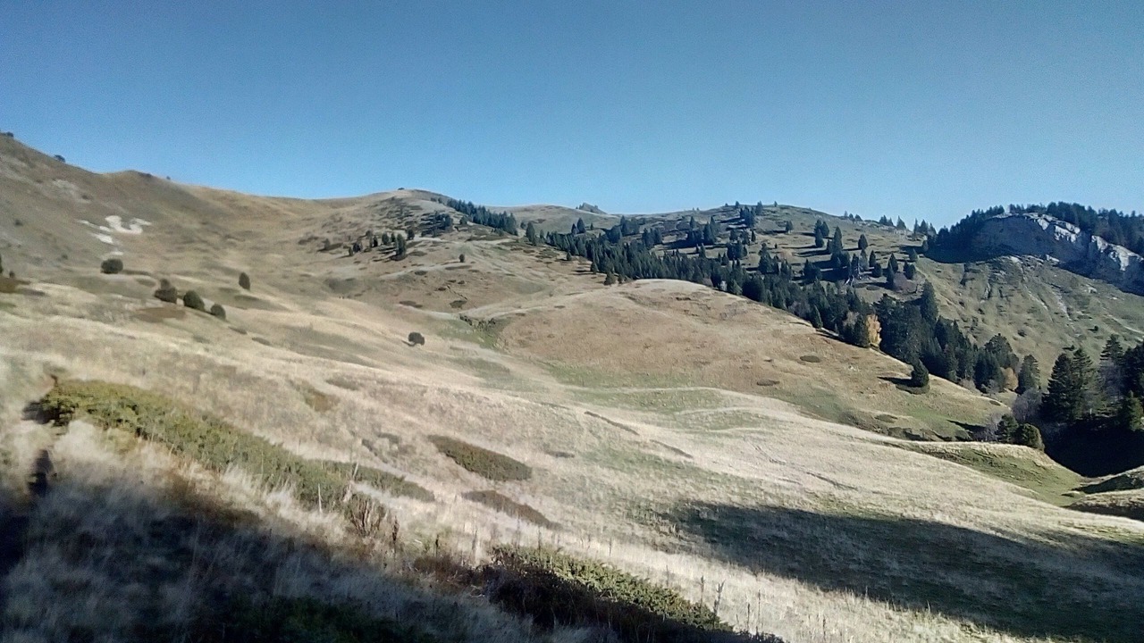 Photo of Outdoor in Saint-Julien-de-Raz