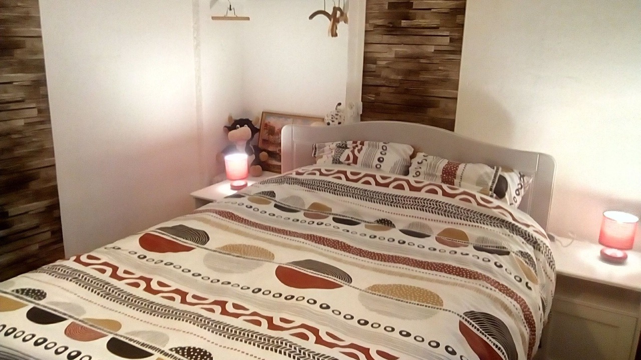 Photo of Bedroom in Saint-Julien-de-Raz