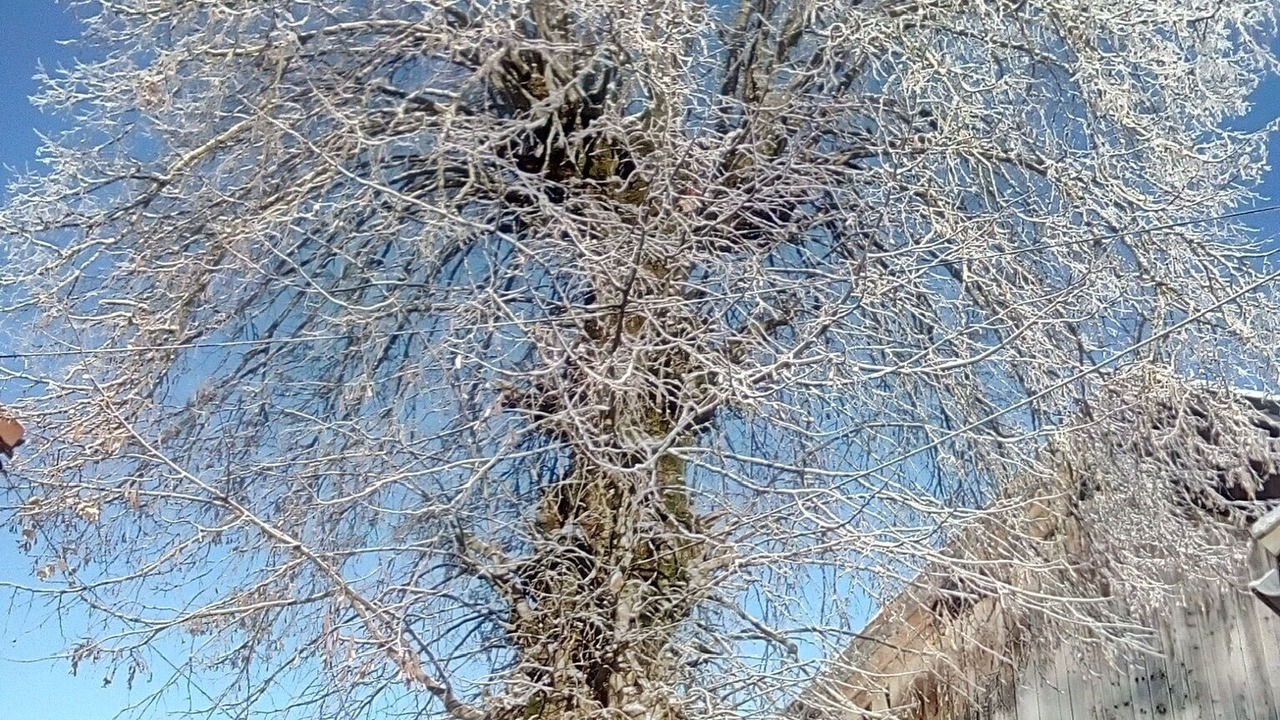 Photo of Outdoor in Saint-Julien-de-Raz