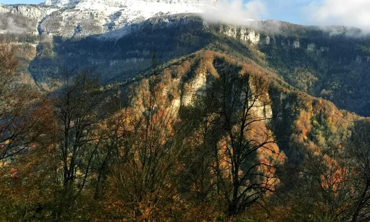 Photo of Others in Saint-Julien-de-Raz