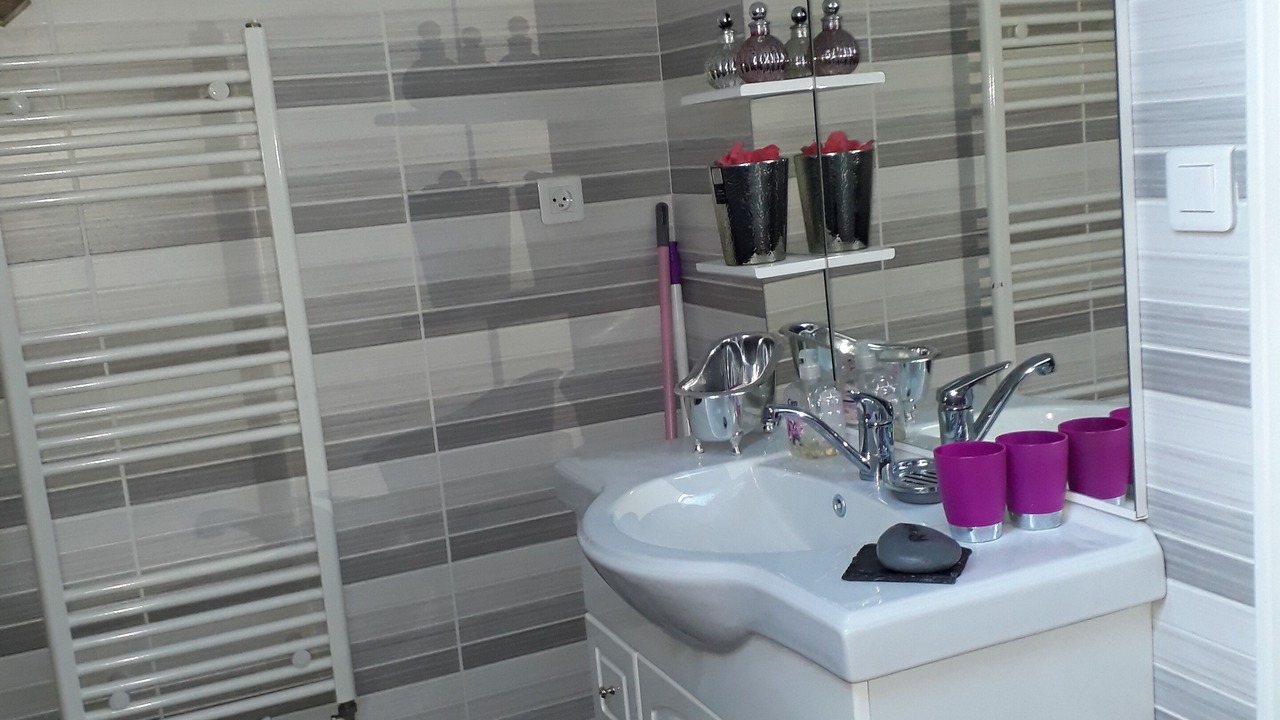 Photo of Bathroom in Sevran