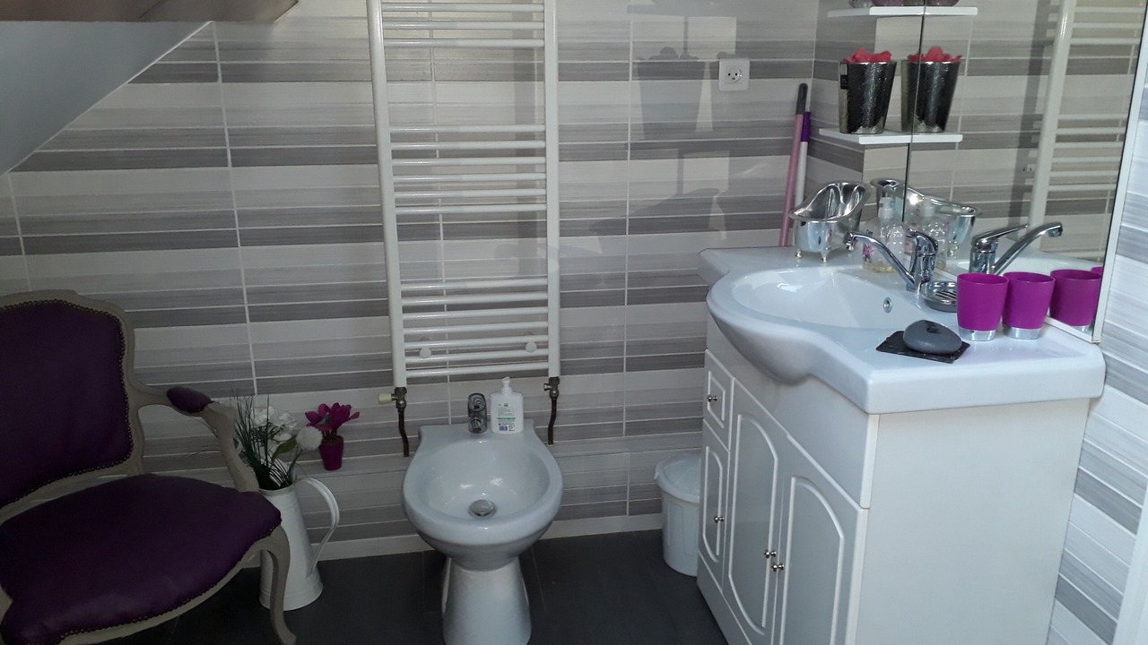 Photo of Bathroom in Sevran