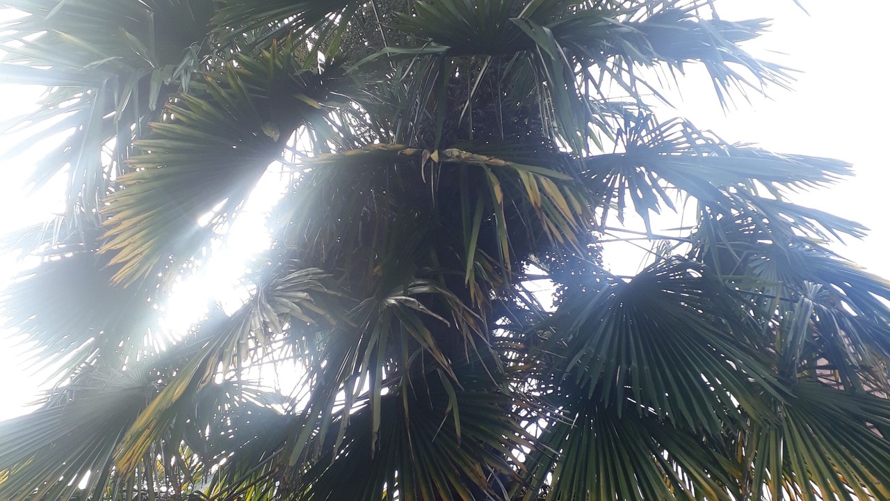 Photo of Others in Sevran