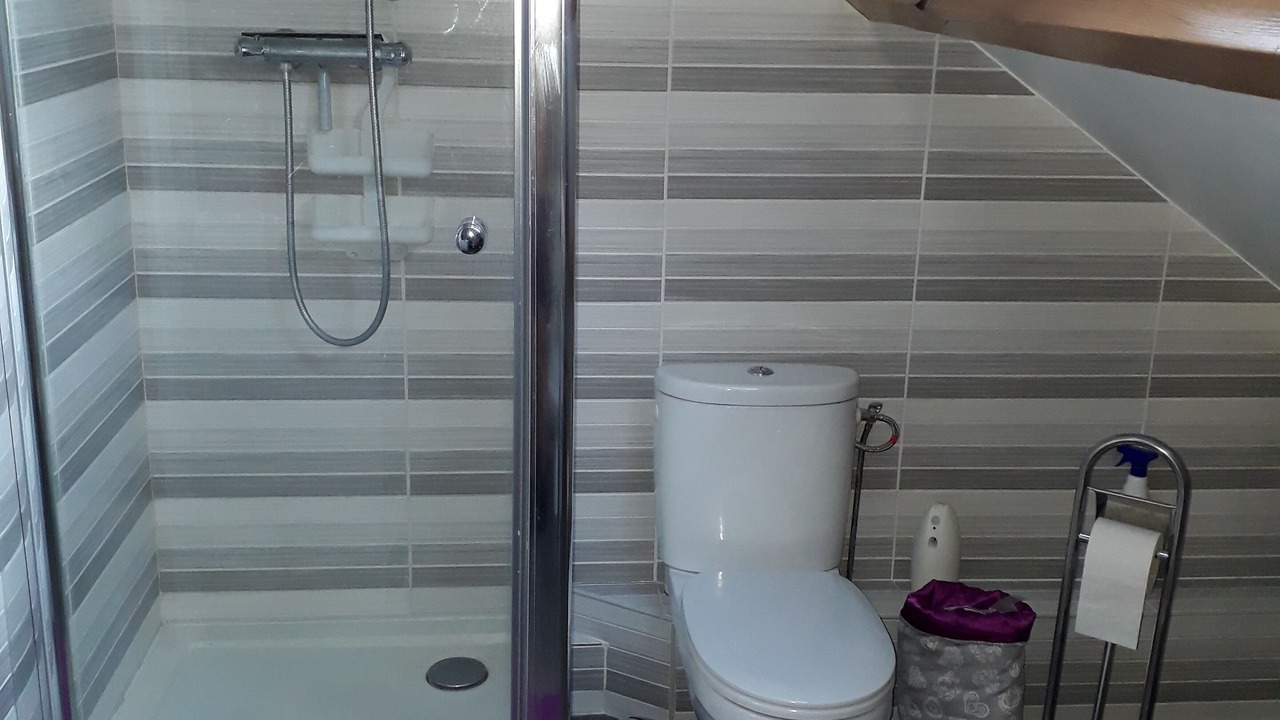 Photo of Bathroom in Sevran