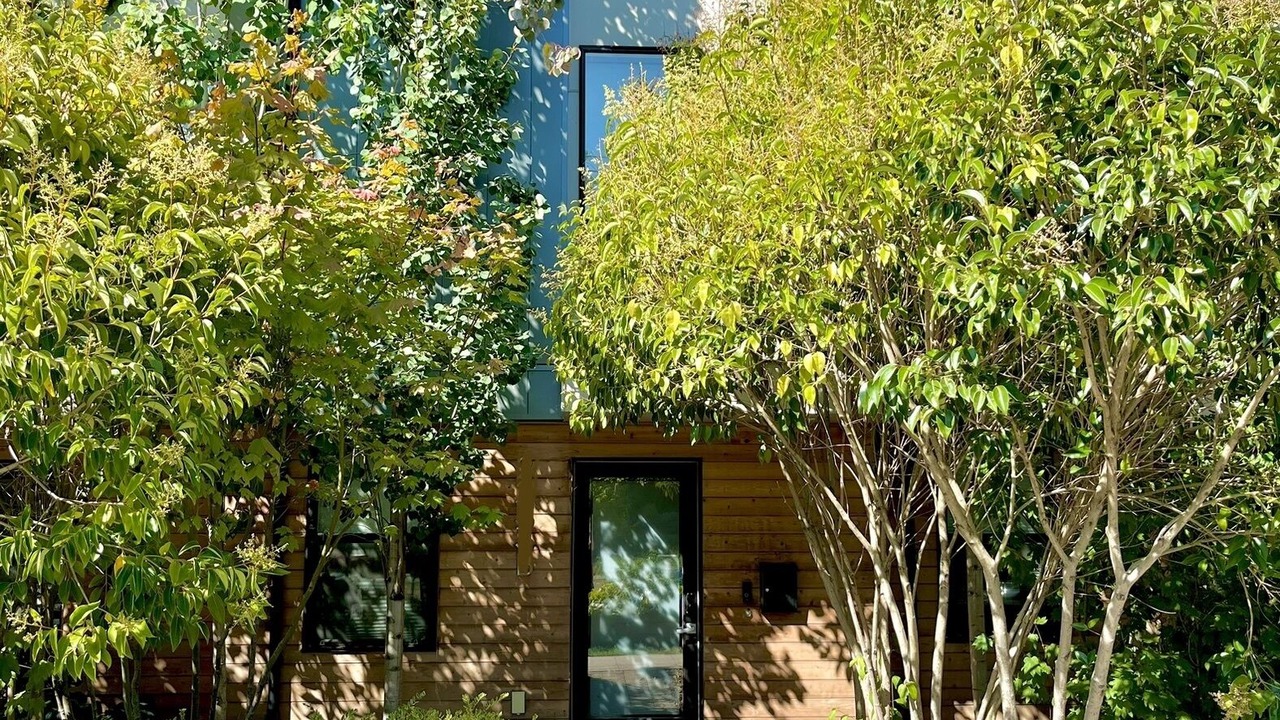 Photo of Outdoor in Eastlake
