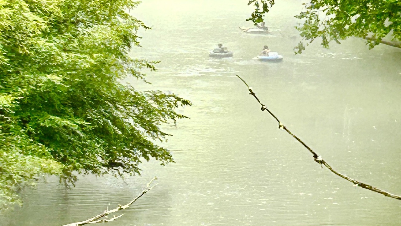 Photo of Others in Murphy