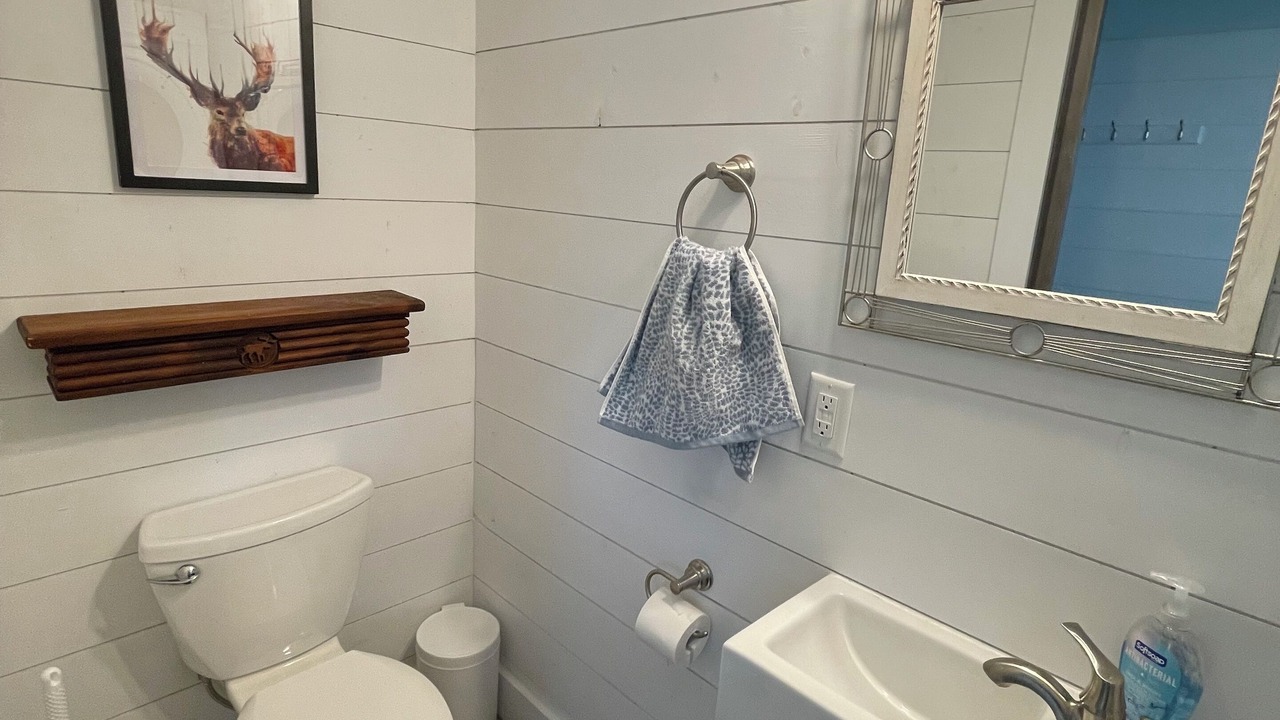 Photo of Bathroom in Brainerd