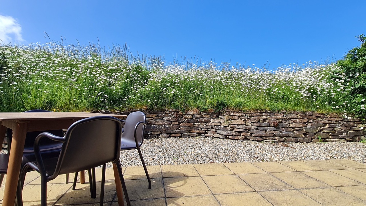 Photo of Outdoor in Treator