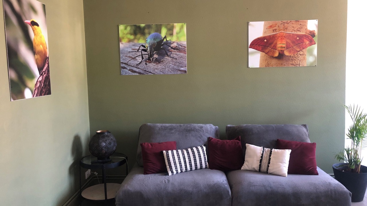 Photo of Livingroom in North district