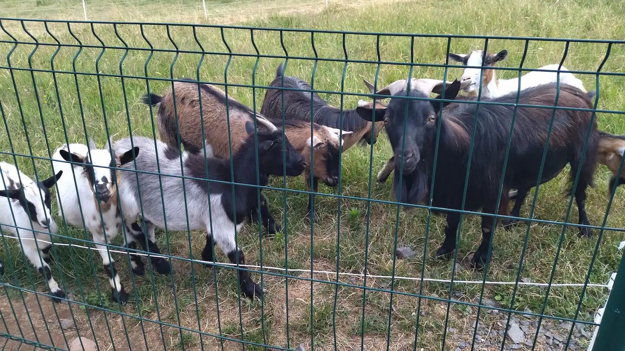 Photo of Others in Mesnil Sous Les Cotes