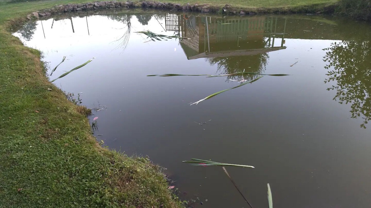 Photo of Outdoor in Mesnil Sous Les Cotes