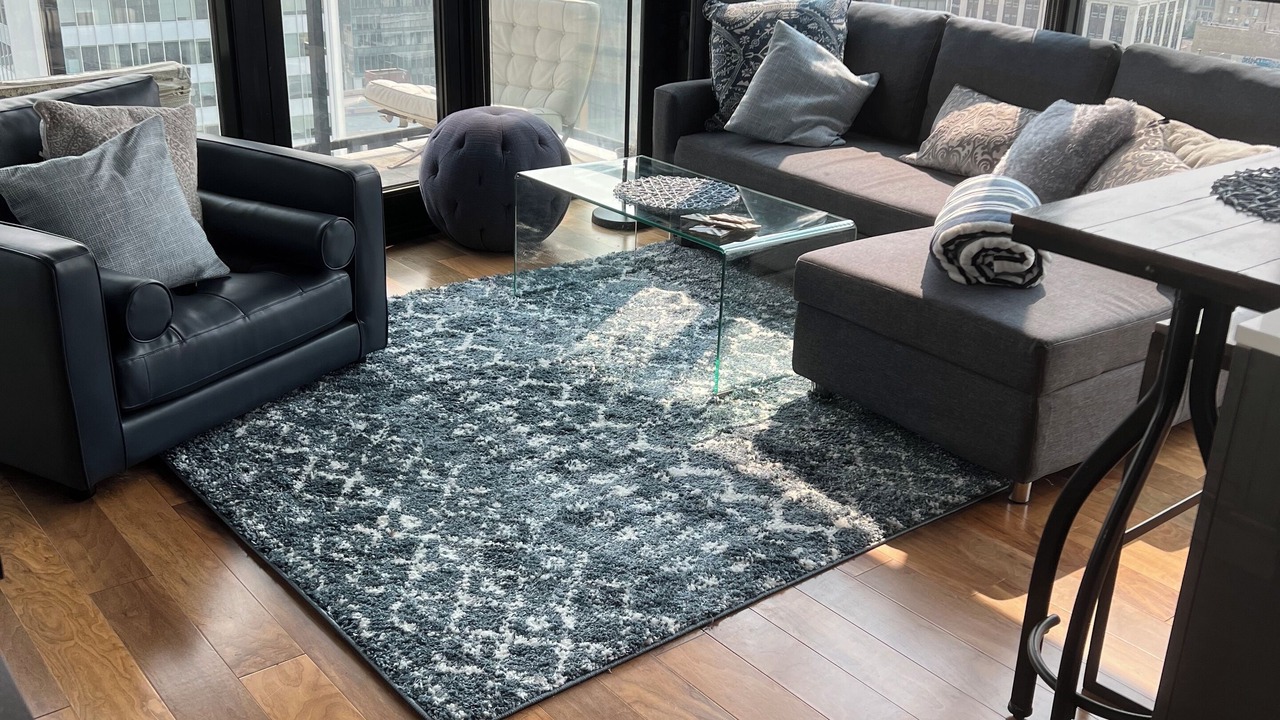 Photo of Livingroom in Downtown Winnipeg