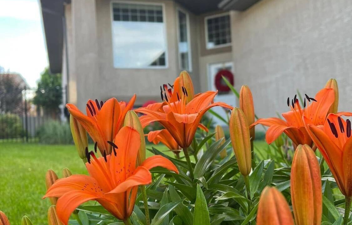 Photo of Outdoor in Regina