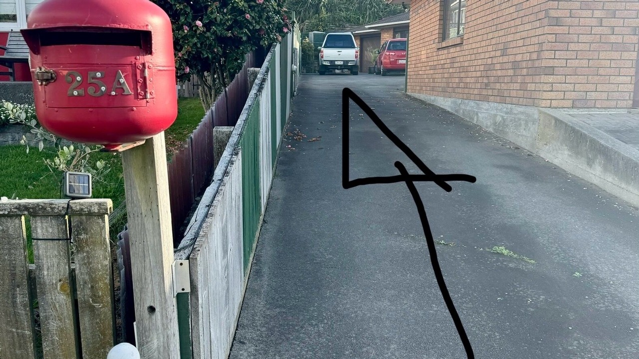 Photo of Others in Raumati Beach