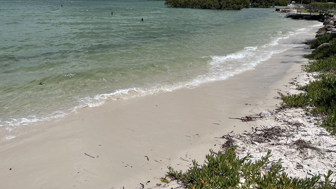 Photo of Others in Pindimar