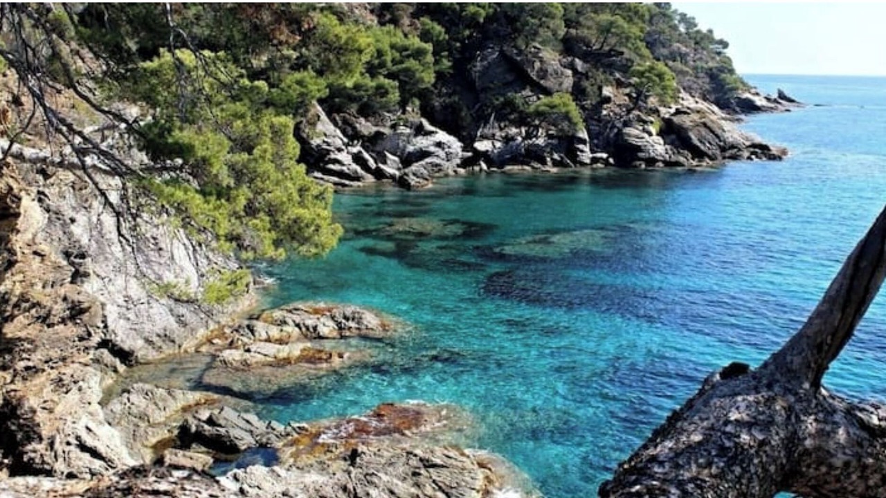 Photo of Others in Carry-le-Rouet