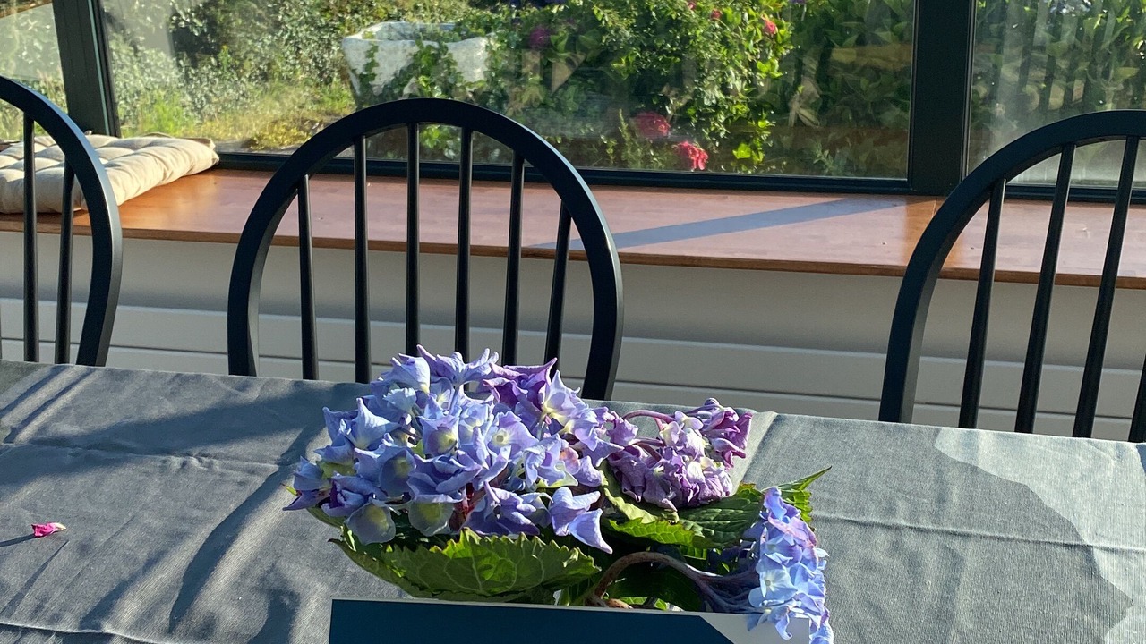 Photo of Others in Plouguerneau