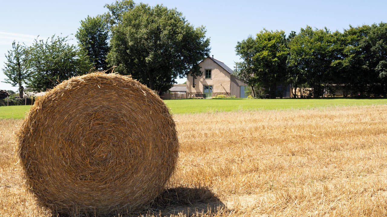 Photo of Outdoor in Geveze