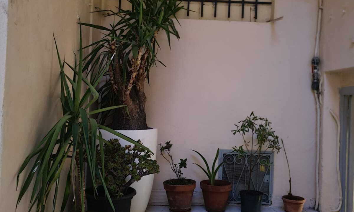 Photo of Outdoor in Vernier