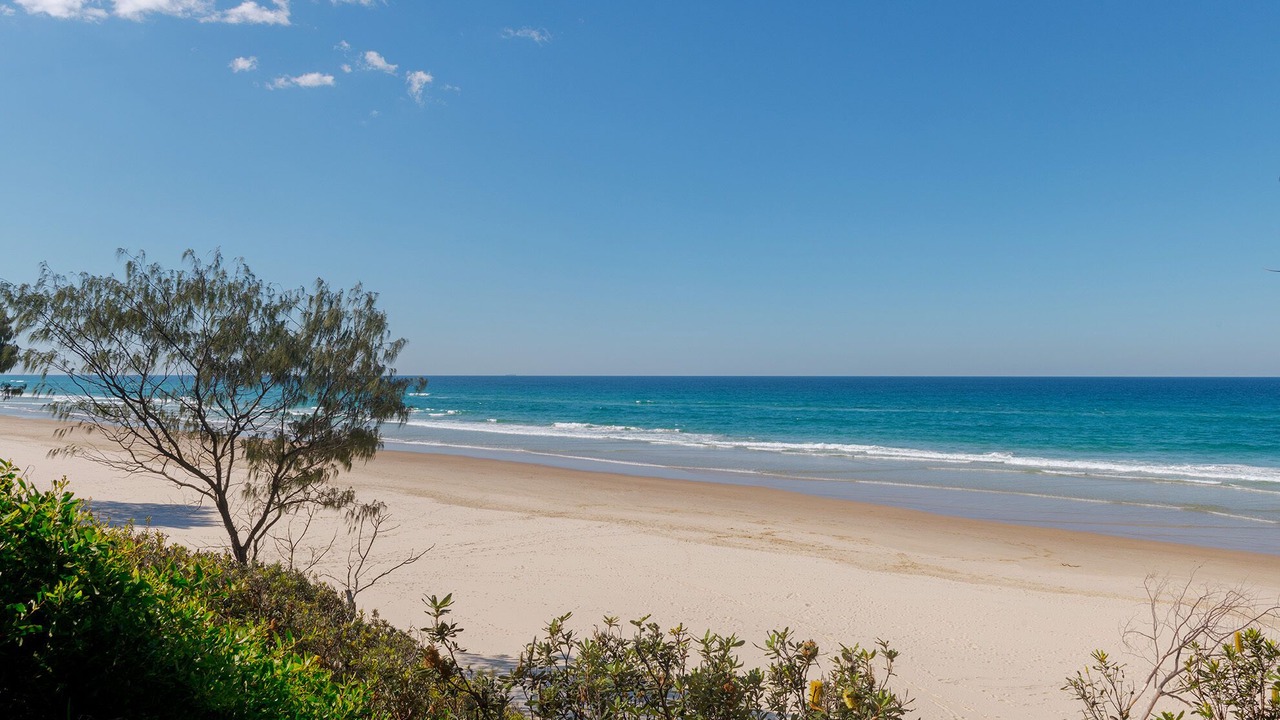 Photo of Others in Suffolk Park