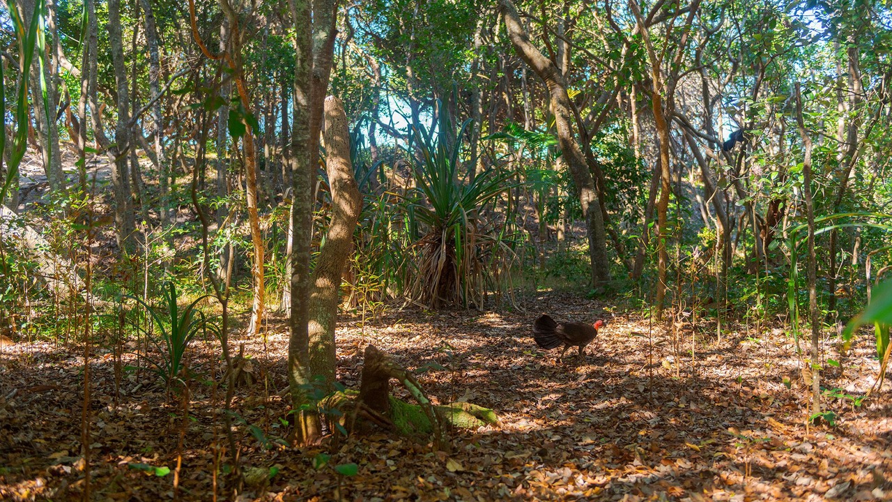 Photo of Outdoor in Suffolk Park