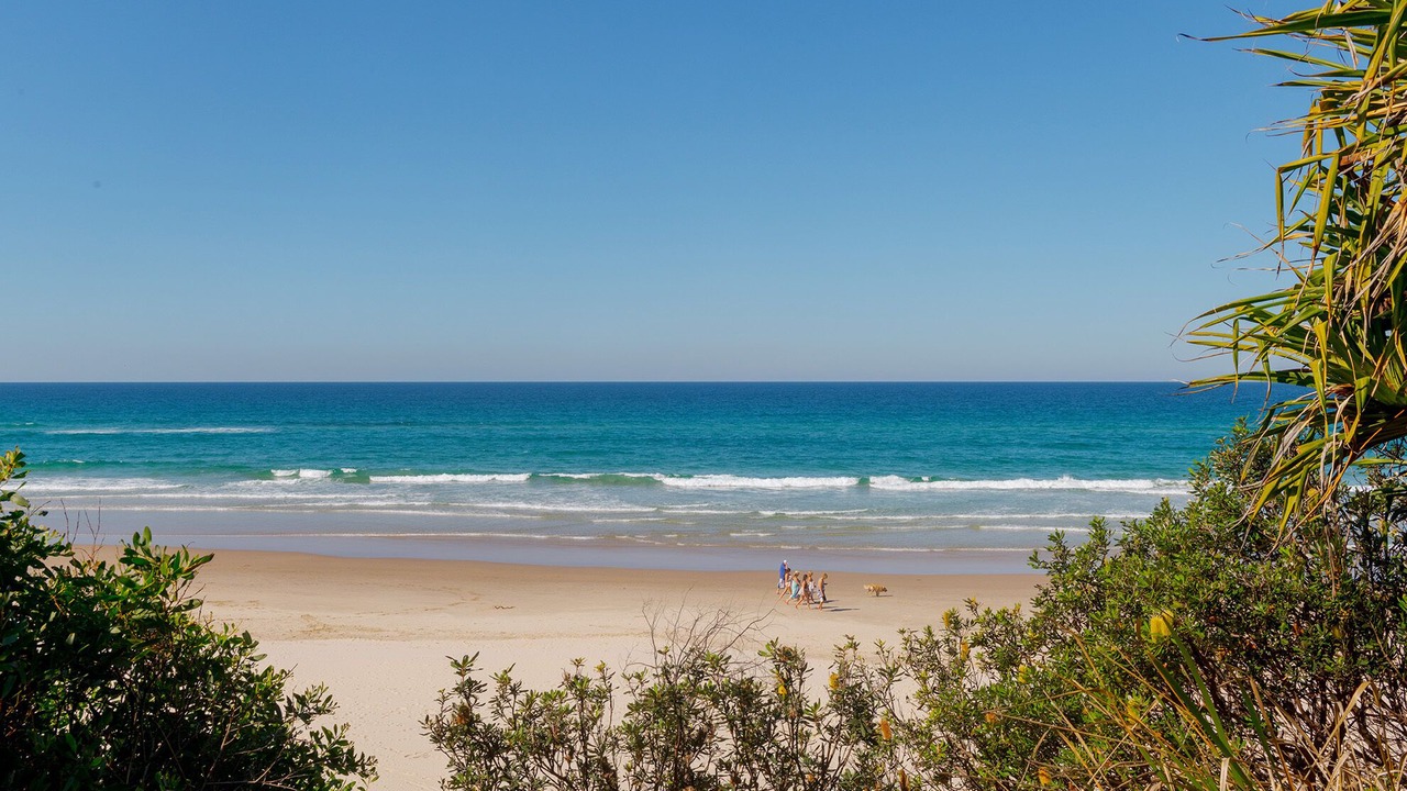 Photo of Others in Suffolk Park