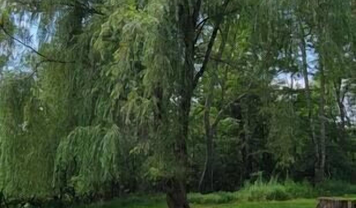 Photo of Others in Mongaup Valley