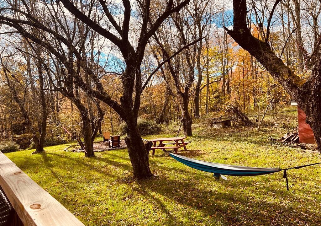 Photo of Others in Mongaup Valley