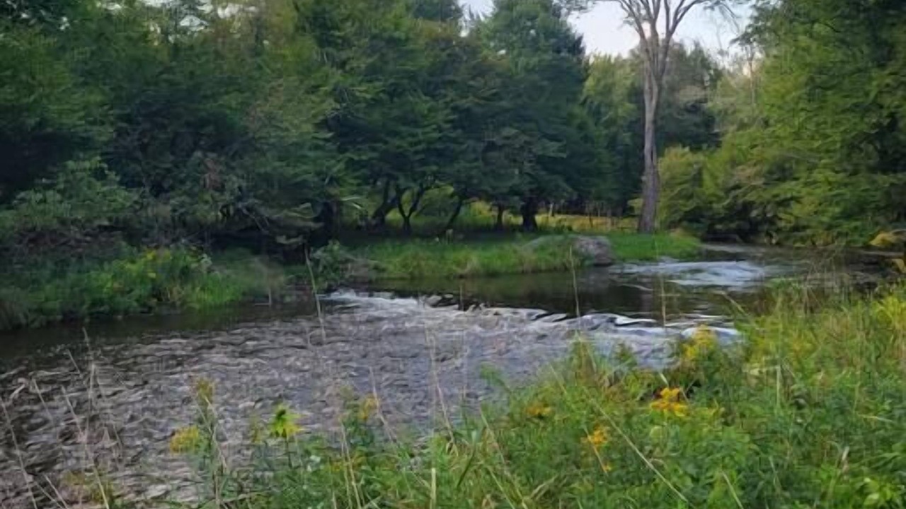 Photo of Others in Mongaup Valley