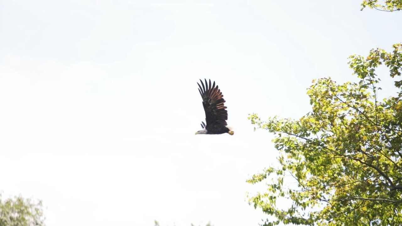 Photo of Others in Mongaup Valley