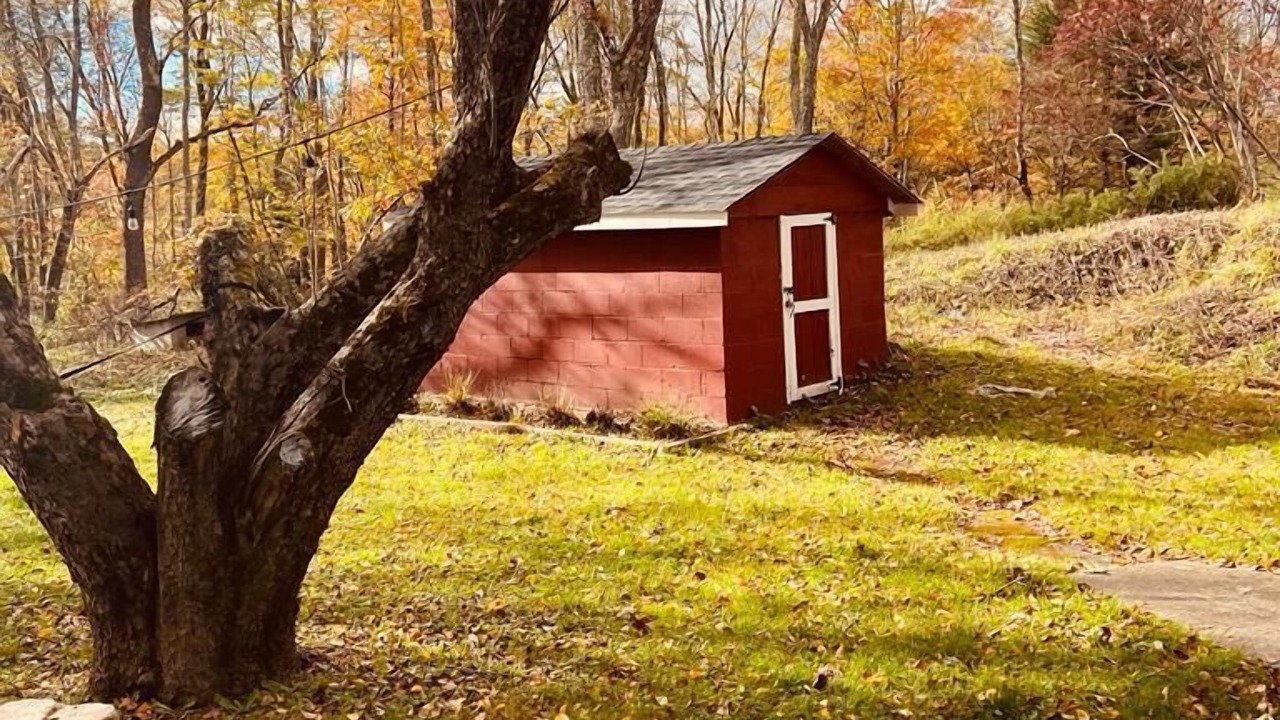 Photo of Others in Mongaup Valley