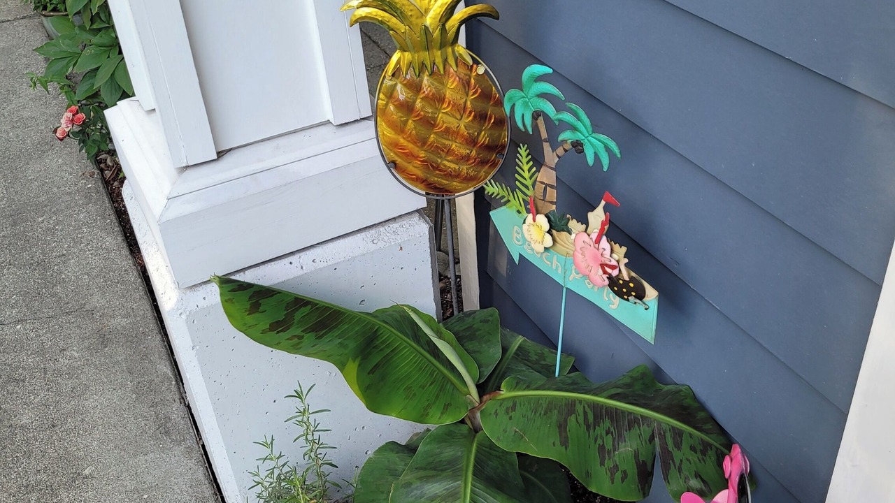 Photo of Outdoor in Bothell