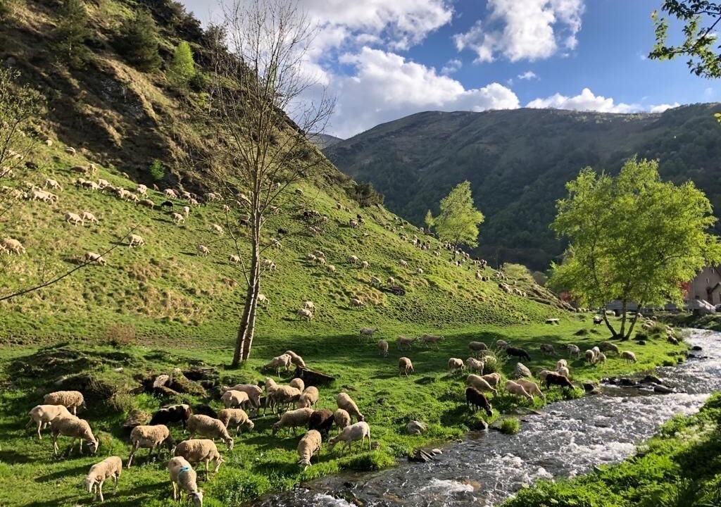 Photo of Outdoor in Peyragudes