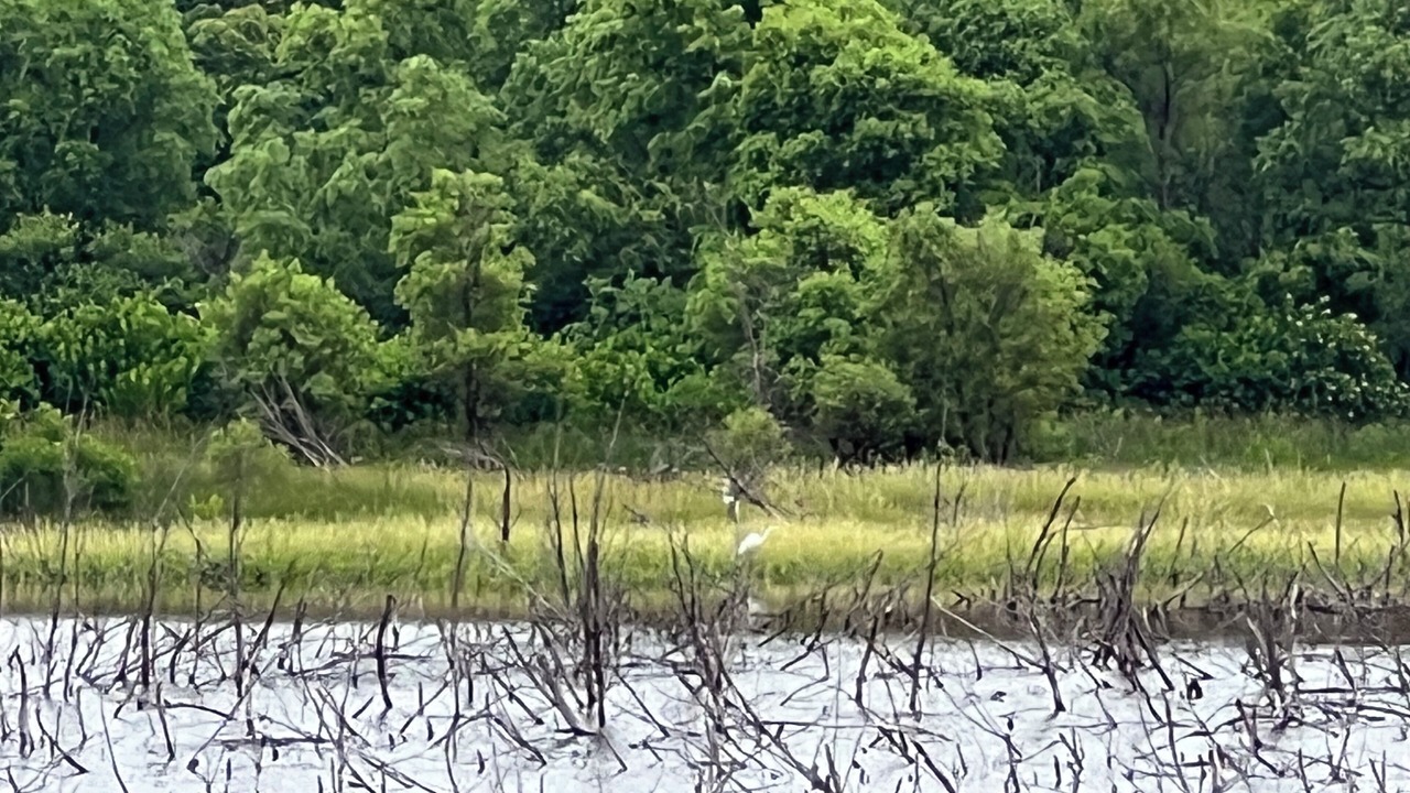 Photo of Others in Sayre
