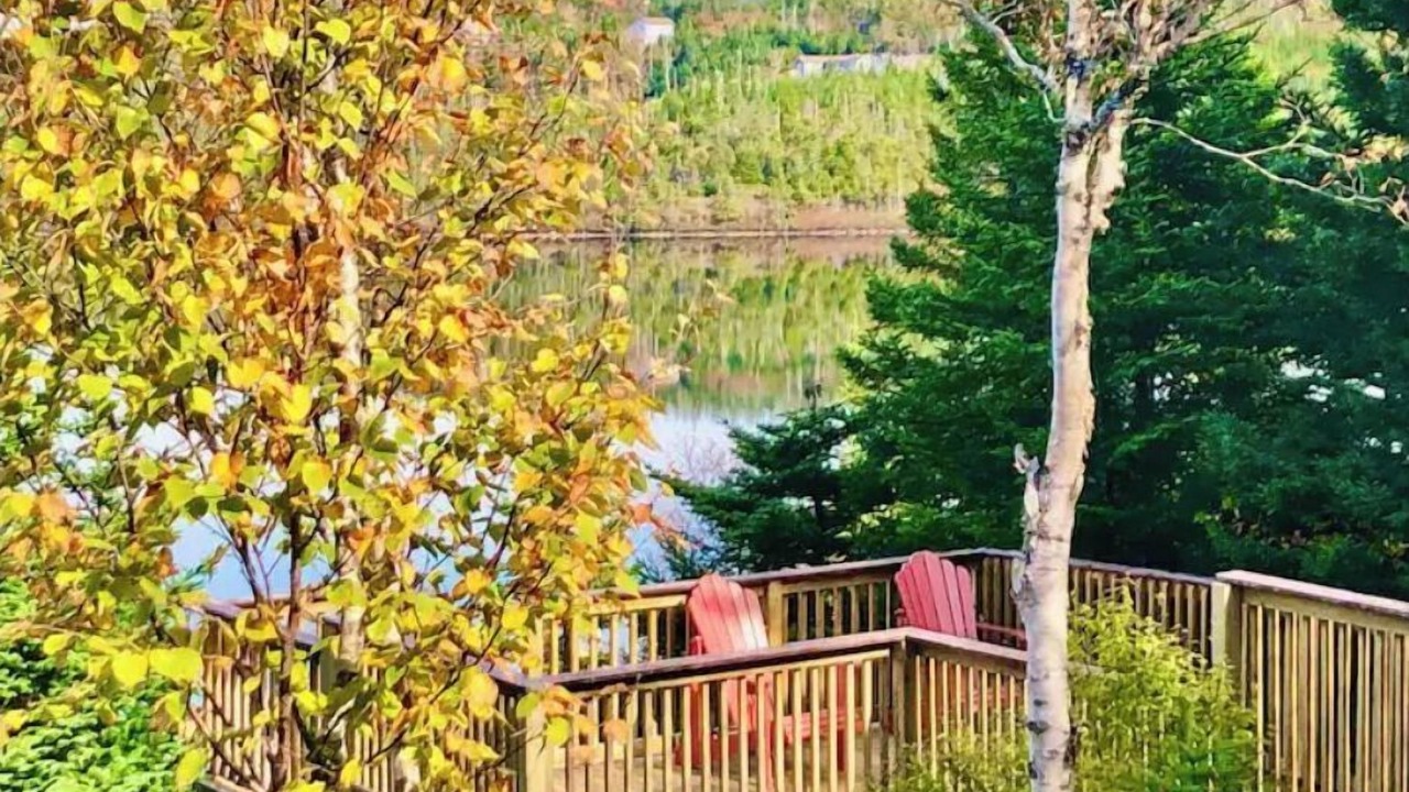 Photo of Outdoor in Avondale
