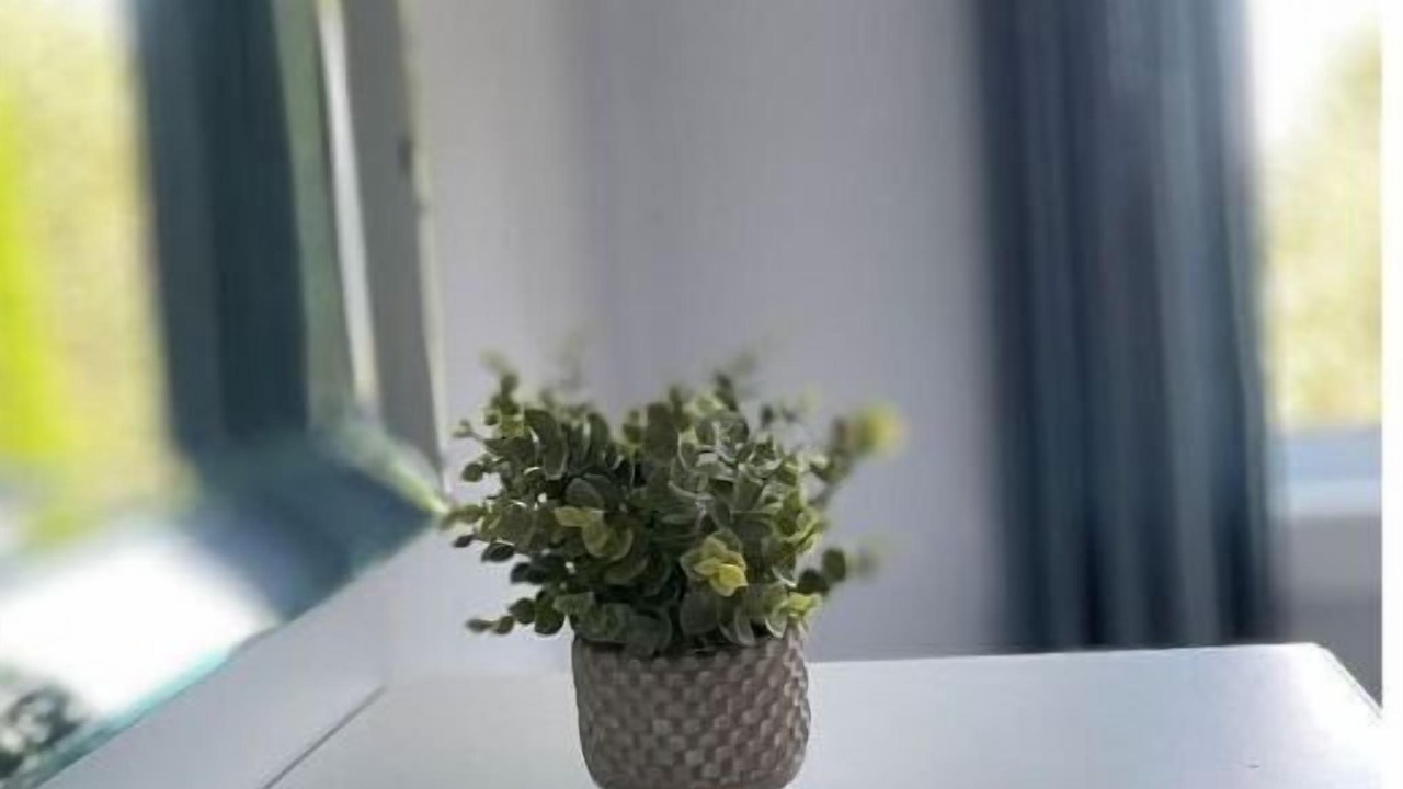 Photo of Others in Bay Roberts