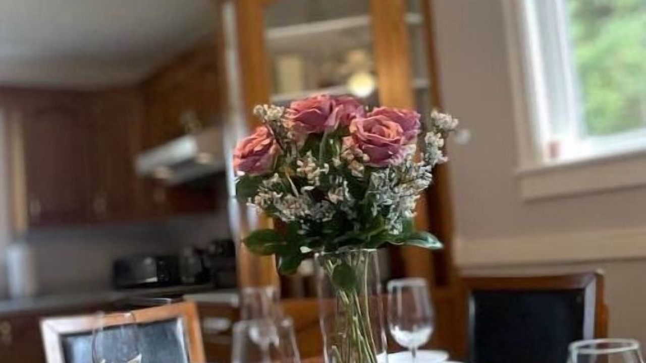 Photo of Others in Bay Roberts