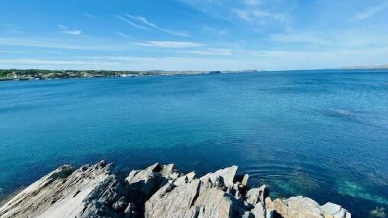 Photo of Others in Bay Roberts