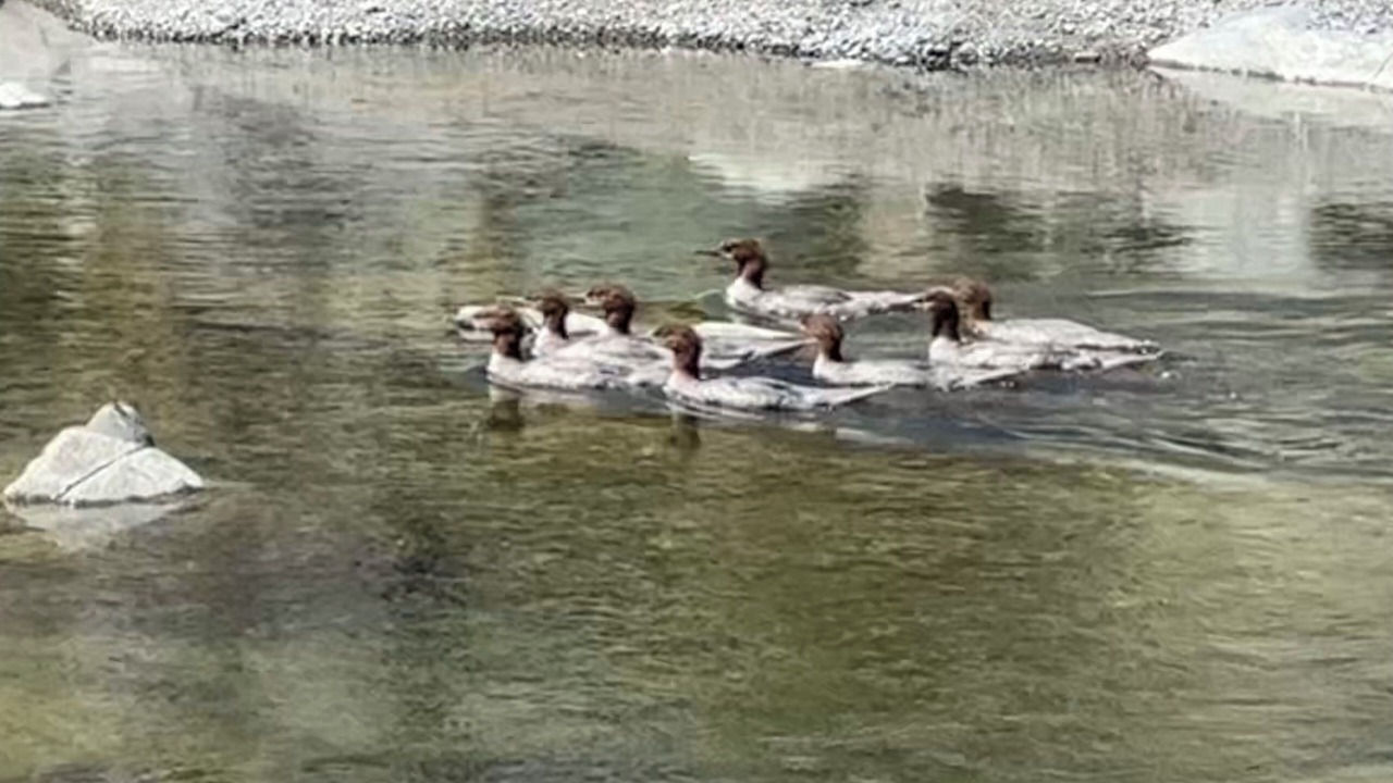 Photo of Outdoor in Covelo
