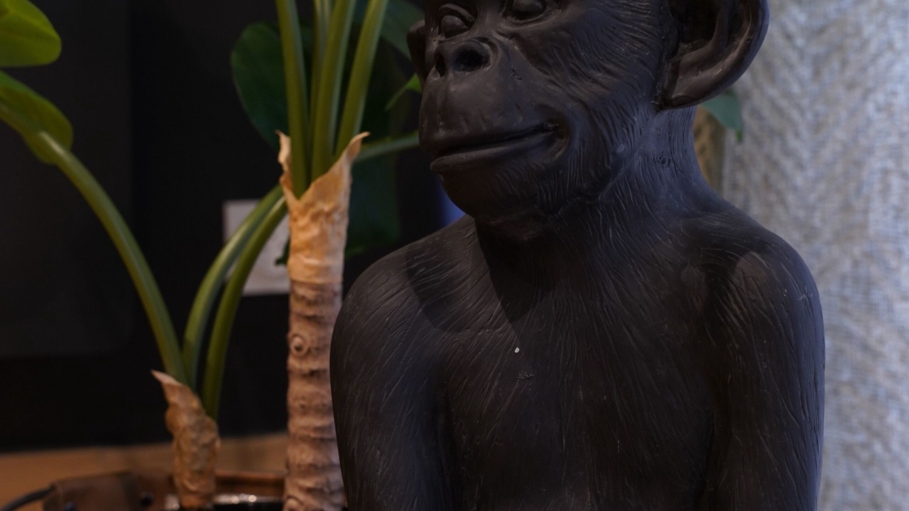 Photo of Others in Centre-ville