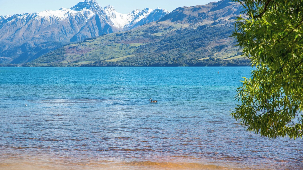 Photo of Others in Mukilteo