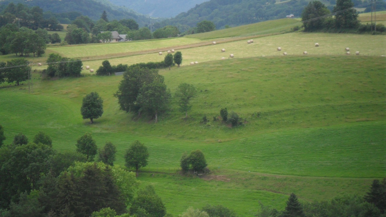 Photo of Others in Rochefort-Montagne