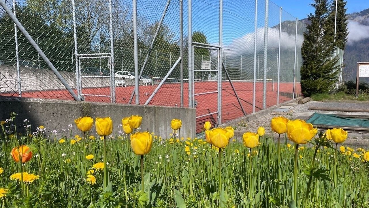 Photo of Outdoor in Ruetli