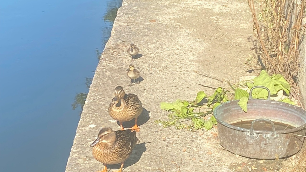 Photo of Others in Montigny-sur-Loing