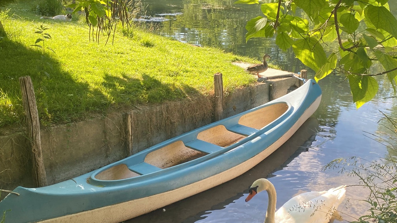 Photo of Outdoor in Montigny-sur-Loing