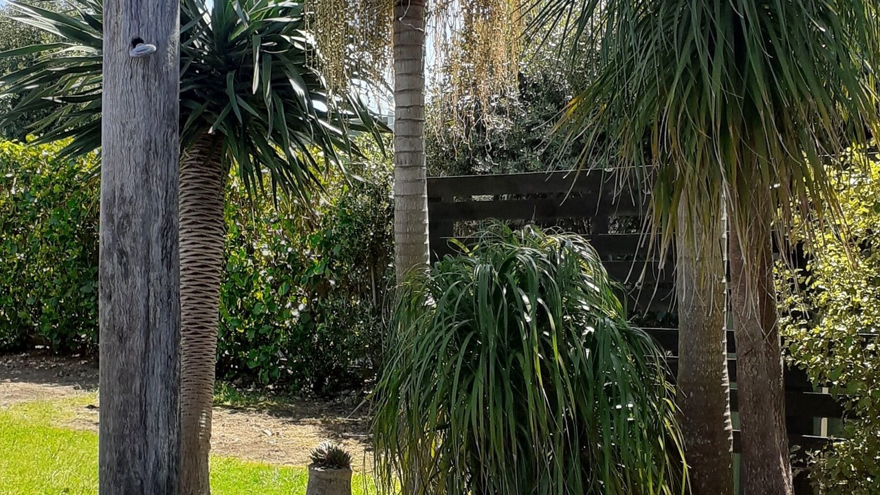 Photo of Patio Balcony in Whangapoua