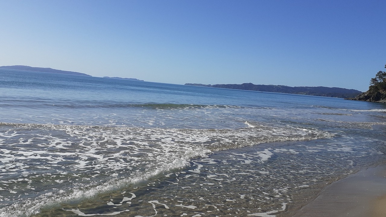 Photo of Others in Whangapoua