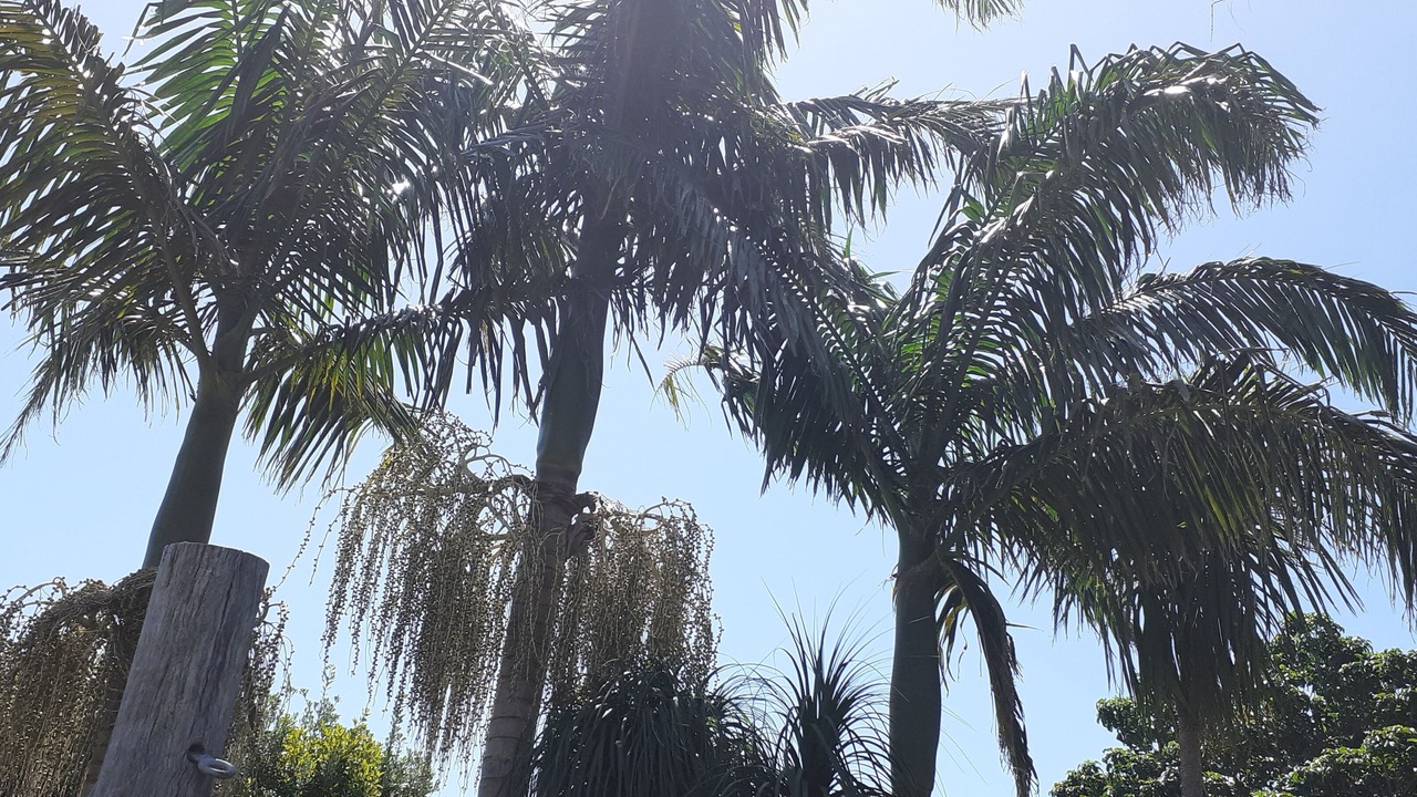 Photo of Outdoor in Whangapoua