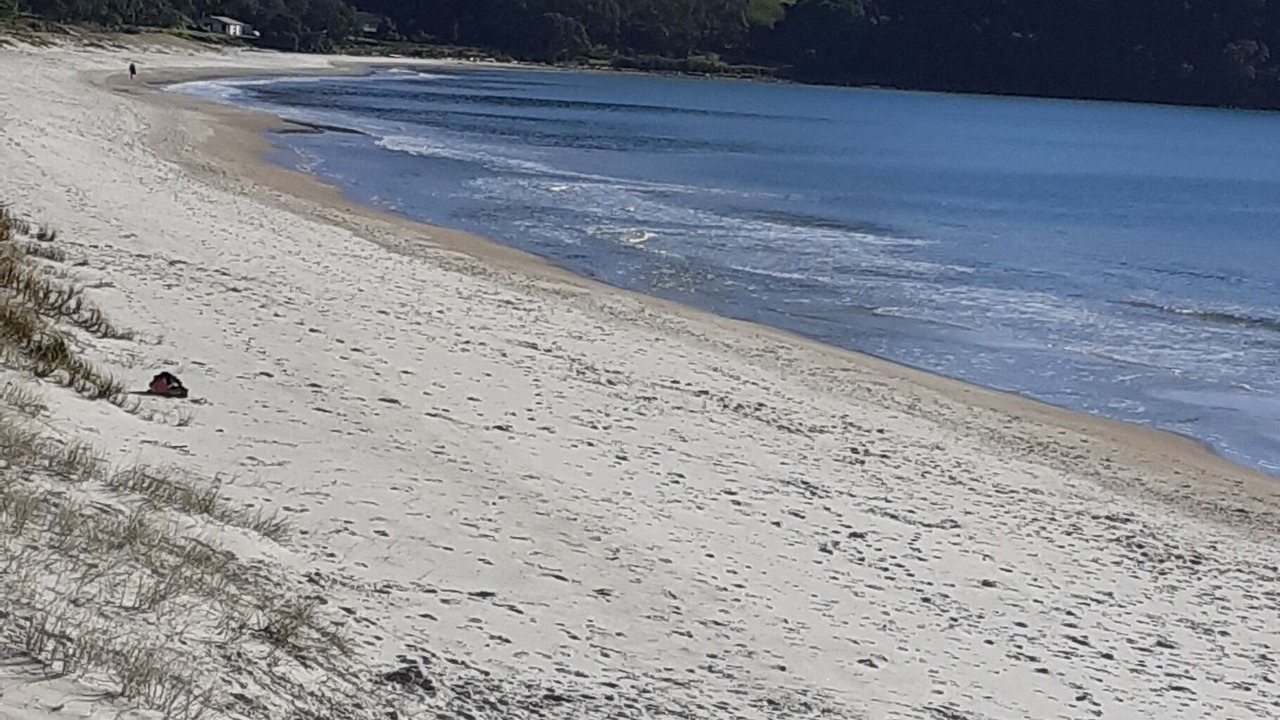 Photo of Others in Whangapoua