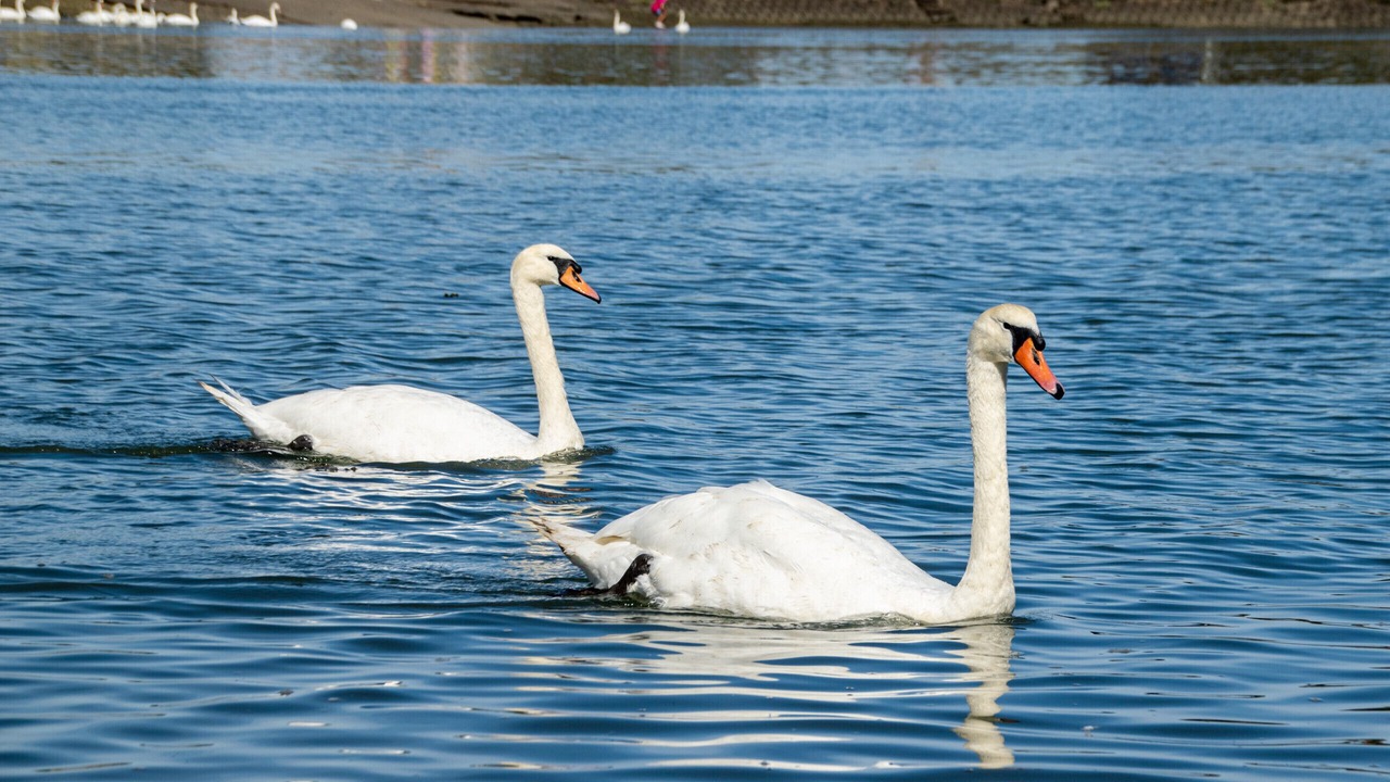Photo of Others in Burnham-on-Crouch